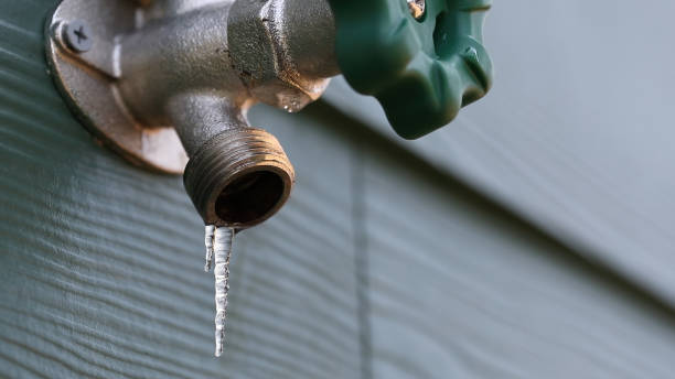 Best Local Plumber Services  in Fyffe, AL